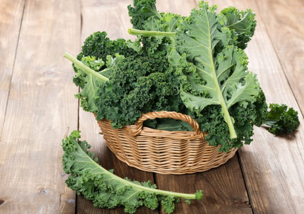 makanan tinggi kalsium, kalsium tanpa susu, kalsium untuk anak, kalsium untuk ibu hamil, fig buah tin, jeruk untuk tulang, kale sayuran sehat, sumber kalsium alami, MPASI kalsium, nutrisi ibu menyusui